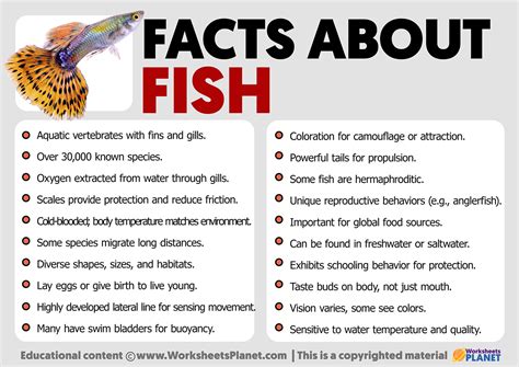 Fish Pictures & Facts .